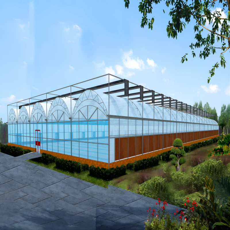 Multi Span Film Greenhouses